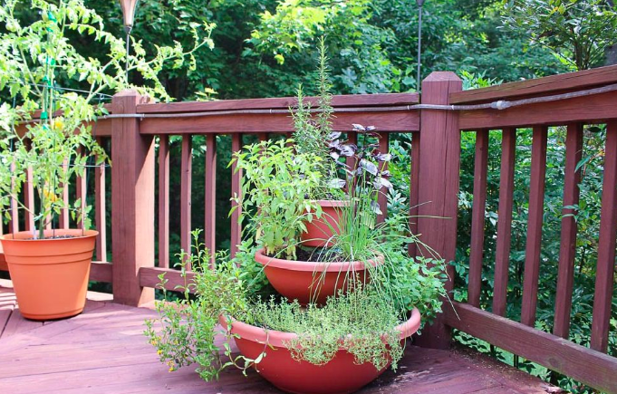 Potted herb garden tower