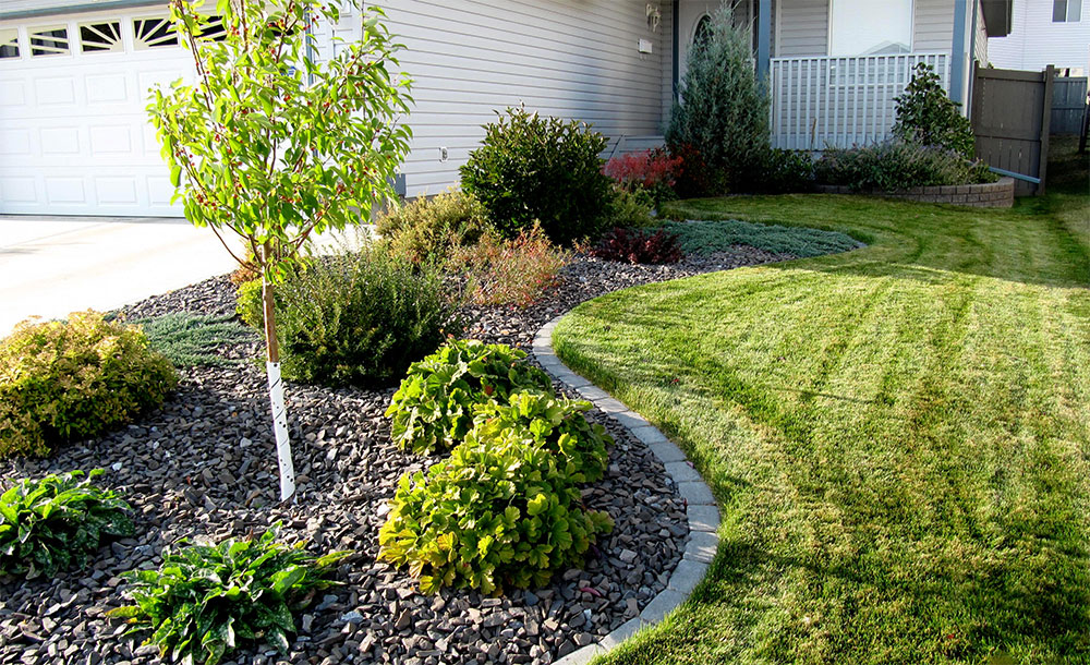 Landscaping in the front of the house